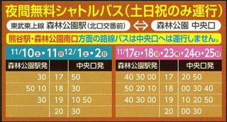 紅葉見ナイト